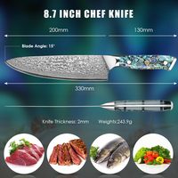 Ensemble de couteaux de luxe personnalisés avec logo, en nacre, extrêmement tranchants, en acier Damas VG10 à 67 couches, couteau de chef pour la cuisine et la découpe, idéal pour un cadeau