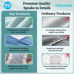 Đồ lót nữ cotton giá rẻ OEM 2026 bán theo tá, kiểu bikini ôm eo, thoáng khí, quần lót nữ - Product Image 2