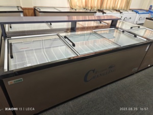 Congélateur commercial de haute qualité avec éclairage LED, vitrine pour crème glacée et viande, congélateur à porte coulissante double en <span class=keywords><strong>verre</strong></span> trempé - Product Image 6