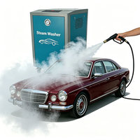 Équipement de lavage de voitures à vapeur haute efficacité certifié CE pour les centres de beauté et de detailing de voitures de luxe