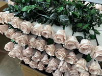 Rose préservée unique faite à la main pour la fête des mères Saint Valentin Graduation Nouvel An Noël Thanksgiving Pâques Prix d'usine