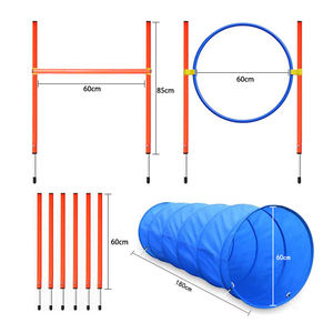 Ensemble d'équipement d'entraînement à l'agilité personnalisé <span class=keywords><strong>pour</strong></span> <span class=keywords><strong>chien</strong></span> Kit de démarrage <span class=keywords><strong>pour</strong></span> parcours d'obstacles <span class=keywords><strong>pour</strong></span> <span class=keywords><strong>chien</strong></span> Jeu d'extérieur <span class=keywords><strong>pour</strong></span> animaux de compagnie avec tunnel - Product Image 3