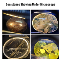 Fable Binocular Gem Microscope FGM-R6S-171 10W Lighting Mode Optical Swing-arm 7.5-50X Halogen and LED Light Binocular/two Lens