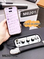 Système de sonorisation AI Voice Intelligence M6201 60W avec caisson de basses, enceinte karaoké avec 2 micros sans fil pour la maison, le karaoké et les fêtes