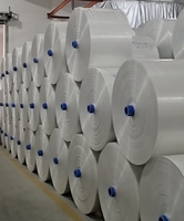 Rouleau de tissu tubulaire coloré tissé en raphia PP à prix bon marché avec logo requis pour les sacs Jumbo Fibc