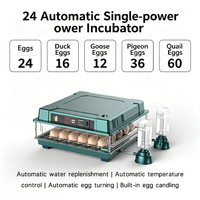 Incubateur d'œufs 36-500 entièrement automatique, machine d'éclosion automatique, incubateur et éclosoir d'œufs de poulet
