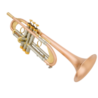 Phosphorus Bronze Heavier 3 Piston BB Key Trumpet Tricolor Matte Brushed Finish with Amado Water Key Fixed Ring Brass Instrument
