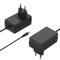 Chargeur rapide 12V avec alimentation électrique pour polisseuse, batterie 12V 5Ah avec protection OTP et OVP