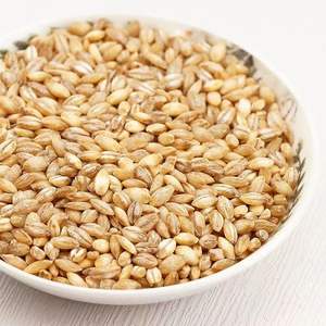 بذور الشعير المجففة لتغذية الحيوانات نوع من العشب المغذي - Product Image 6