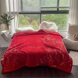 Sang Trọng Raschel Bông Ném Chăn Tùy Chỉnh Kích Thước 100% Polyester Dày Ấm Mùa Đông Bộ Đồ Giường Vui Vẻ Động Vật Phim Hoạt Hình In Dệt Kim - Product Image 1