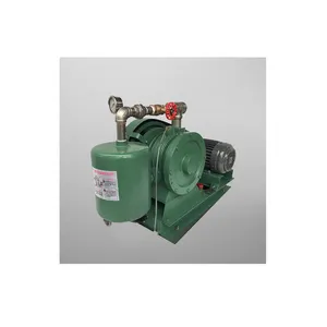 Wereldwijde Beste Verkoop Topkwaliteit Wisselstroom Roterende Vaan Type Gasblazer-300 Voor Reparatiewerkplaatsen Voor Machines