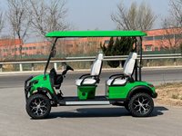 Vente en gros de voiturettes de golf à essence HIGHTOP certifiées CE, 4 places, configuration 2+2, autonomie 90 km, logo personnalisé, club, à vendre