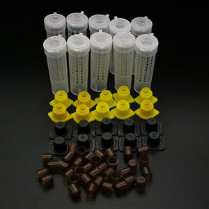 1 Set Outils pour Abeilles Cage <span class=keywords><strong>King</strong></span> Queen Système d'élevage Cupkit Abeille Apiculture Catcher Box Cell Cups Cage Nicot Kit complet Apicultura - Product Image 2