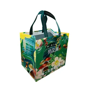 Free Sample Promotion Custom Waterproof Picnic Food Bag Lunch Bbq Non Woven Insulated Lunch Thermal Cooler Bag