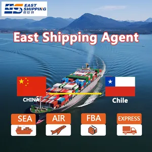 Chinese freight forwarder navio de carga marítimo freight forwarder da China para o Chile Navio duplo desembaraço fiscal para o Chile