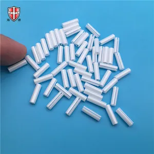 Sợi Quang Chính Xác ZrO2 Zirconia Gạch Mỏng Tay Áo Bush Ferrule