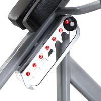 Chaise romaine commerciale pour hyperextension, banc réglable à 45 degrés, robuste, en acier, pour l'entraînement de la force musculaire