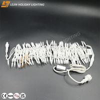 Guirlande Lumineuse Commerciale de Noël pour Extérieur, Prix Usine, Étanche IP65, en Caoutchouc Pur Blanc, 100 LED, 10M/Personnalisable