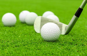 TT-DTBP-<span class=keywords><strong>B</strong></span> पेरोक्साइड क्रॉसलिंग एजेंट, एक्रिलिक और पॉलीमर उद्योग के लिए अश्लील एजेंट - Product Image 6