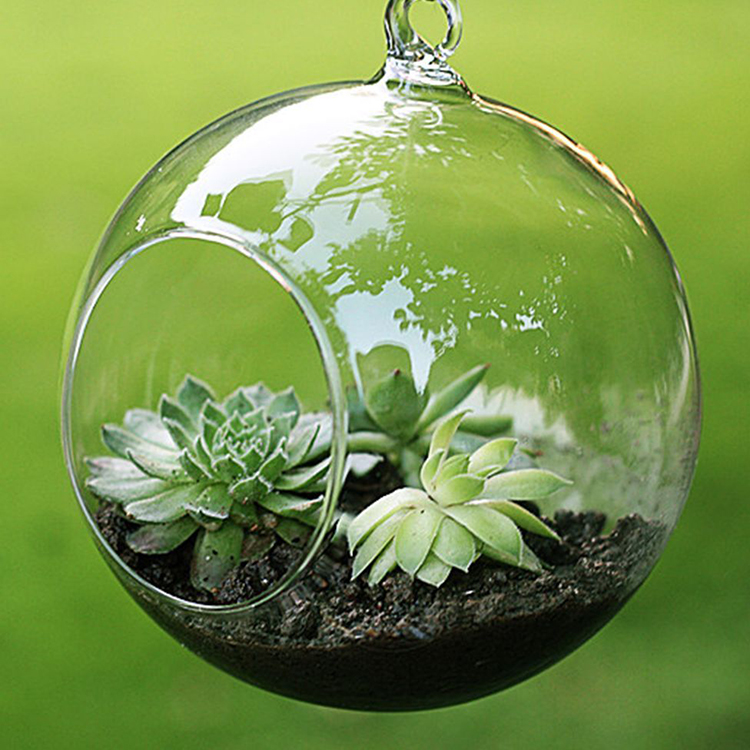 Green Artificial Succulent open drop globe clear glass terrarium Plants Pot Ball Glass ornament for Home and office Decoration