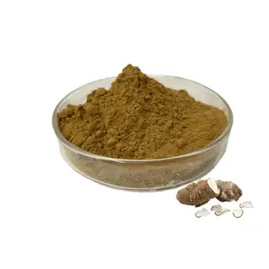 High Quality Natural Radix Angelica Dahurica Extract Powder Angelicae Dahuricae Extract Angelica Dahurica Root Extract