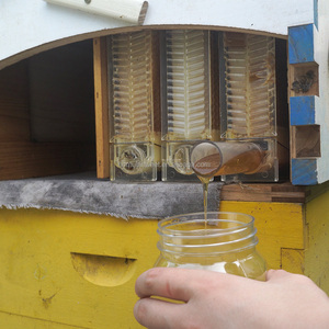 Kit de ruches à flux automatique en bois de qualité alimentaire pour l'apiculture avec 7 cadres - Product Image 5