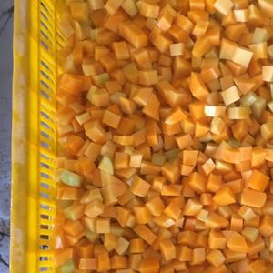 Rodajas de Mango Amarillo Congeladas Orgánicas Grico, 15 cm, Tamaño Grande, Calidad Superior, Directamente de Vietnam, para Uso Alimentario - Product Image 6