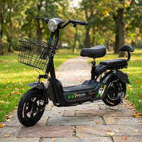 Trottinettes électriques EBIKE avec moteur sans balais, batterie au lithium 20Ah, autonomie de 60 km, roues de 14 pouces, services OEM/ODM disponibles