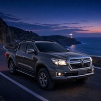 Dongfeng Nissan Rui6 2023 Urban Standard 2.3T Diesel Manuel 4x4