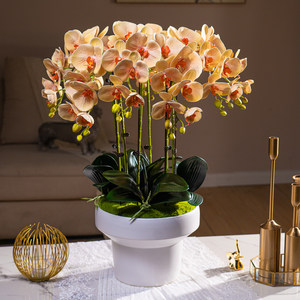 Piante di Orchidea Artificiali in PEVA Effetto Reale con Vaso <span class=keywords><strong>per</strong></span> Decorazione d'Interni - Product Image 4
