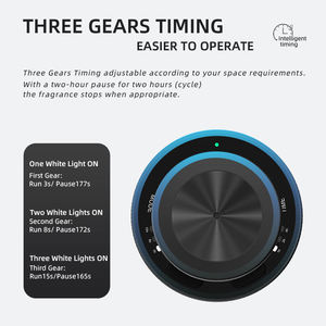 Groothandel Elektrische Waterloze Luxe Draagbare Auto Geurverspreider Machine Lucht Aroma Diffuser Voor Auto - Product Image 6