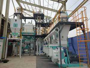 Sistemas Completos de Granulación de Pellets de Madera para <span class=keywords><strong>Plantas</strong></span> de Manufactura en Sudamérica, Perú, Chile, <span class=keywords><strong>Paraguay</strong></span> - Alta Productividad - Product Image 6