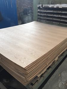 Contreplaqué 1220x2440x18mm Contreplaqué stratifié Contreplaqué à placage simple Face en frêne - Product Image 3