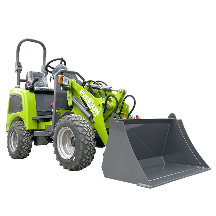 EVERUN Factory Supply EREL05 500kg Mini