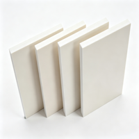 Planche en mousse PVC résistante à l'eau de couleur personnalisée, haute densité, type Andy Board, pour meubles d'intérieur