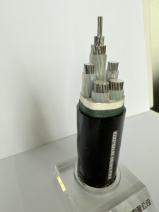 YJLV <span class=keywords><strong>NAXY</strong></span> NA2XY câble d'alimentation en aluminium simple gaine de chlorure de polyvinyle isolée en polyéthylène réticulée pour appareil ménager - Product Image 6