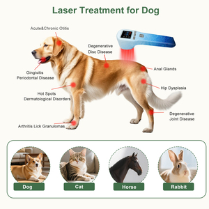 ZJZK Pas d'infection croisée Dispositif laser froid près du spectromètre IR pour chiens Maladies <span class=keywords><strong>de</strong></span> la peau Inflammation articulaire Troubles <span class=keywords><strong>de</strong></span> la cicatrisation des plaies - Product Image 2