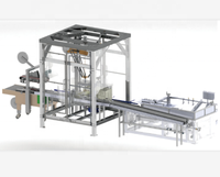 Ligne automatique de machine d'emballage de sachets et de cartons de sachets de biscuits de robot Delta
