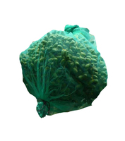100% polyéthylène vierge Pe emballage en gros, marché du moyen-orient, Protection UV, fruits, palmier, emballage en filet pour légumes