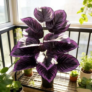 Plante artificielle violette en pot, décoration intérieure pour salon, verdure pour la maison - Product Image 3
