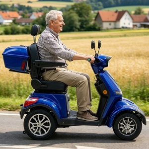 Scooter Eléctrico Todoterreno de Cuatro Ruedas para Adultos, Scooter de Movilidad para Ocio, Certificado por la CEE, con Asiento Premium - Product Image 1