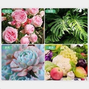 Bâtonnets nutritifs pour plantes Flowers Bloom, 18 pièces, engrais à libération lente pour le jardinage domestique - Product Image 2