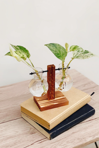 <span class=keywords><strong>Vaso</strong></span> di propagazione delle <span class=keywords><strong>piante</strong></span> giardinaggio fioriera Set idroponico pianta d'<span class=keywords><strong>appartamento</strong></span> Stand unico <span class=keywords><strong>vaso</strong></span> - Product Image 3