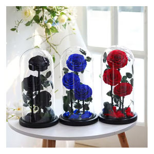 Couvercle en verre de fleur immortelle <span class=keywords><strong>prix</strong></span> fleur préservée <span class=keywords><strong>rose</strong></span> dôme en verre en gros <span class=keywords><strong>rose</strong></span> éternelle roses conservées dans un bocal en verre - Product Image 4