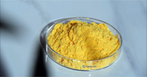 Agent de gonflage Kumyang Cellcom série JTR, poudre fine jaune, norme mondiale pour le moussage des semelles intérieures, semelles intermédiaires et semelles extérieures en <span class=keywords><strong>EVA</strong></span> - Product Image 5