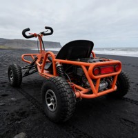 Kart à essence tout-terrain pour adultes, drift en montagne hors route, transmission par arbre, buggy de plage à quatre roues motrices