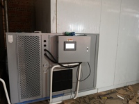NF-300RD KESU Commerciële Warmtepomp Bananendrooginstallatie Grote Capaciteit RVS Fruitdroogruimte