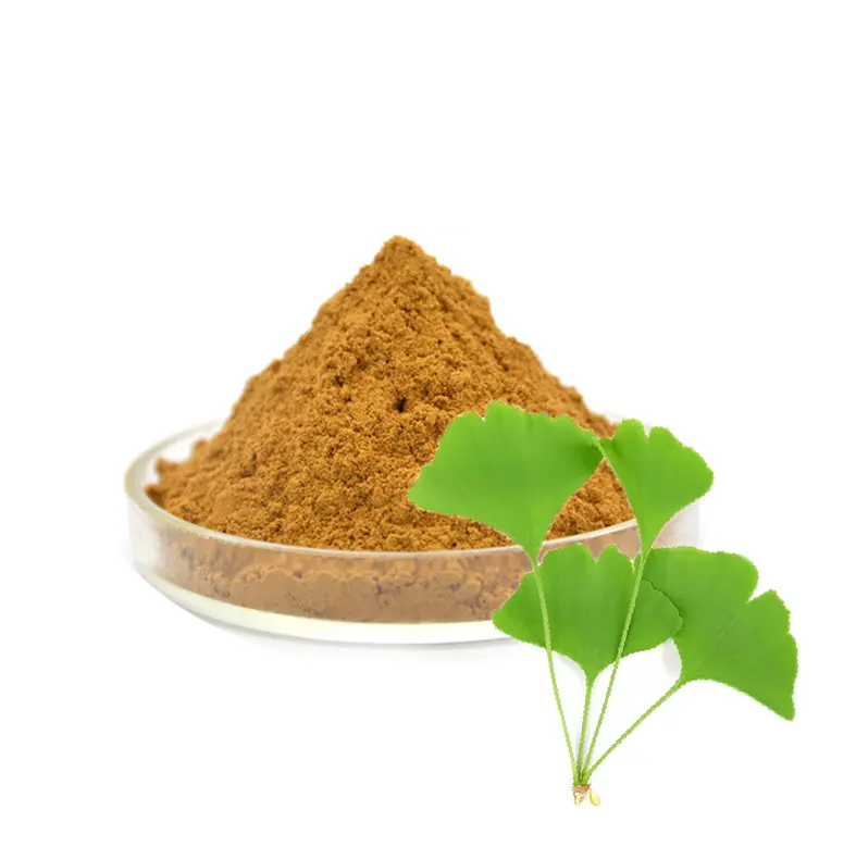 Estratto di foglie di ginkgo biloba organico di alta qualità in polvere integratore alimentare ginkgo biloba