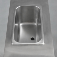 Yaourtière à fruits Acai Slim Design Mini pour comptoir/bureau, certifiée ETL CE, 110V/220V, garantie 1 an, facile à utiliser, capacité 20L/h, Softy