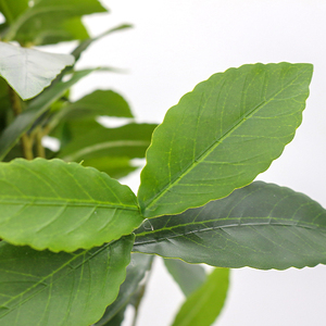 大規模屋内ガーデニング装飾人工月桂樹卸売 - Product Image 4